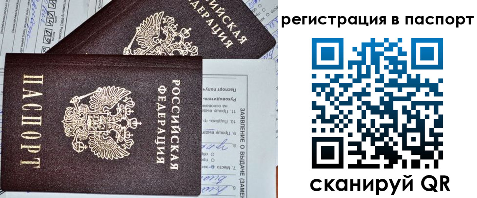 прописка законно в Каменке